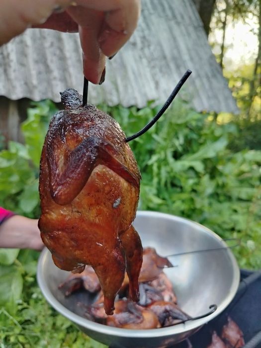 Продаю домашніх бройлерів та перепілок