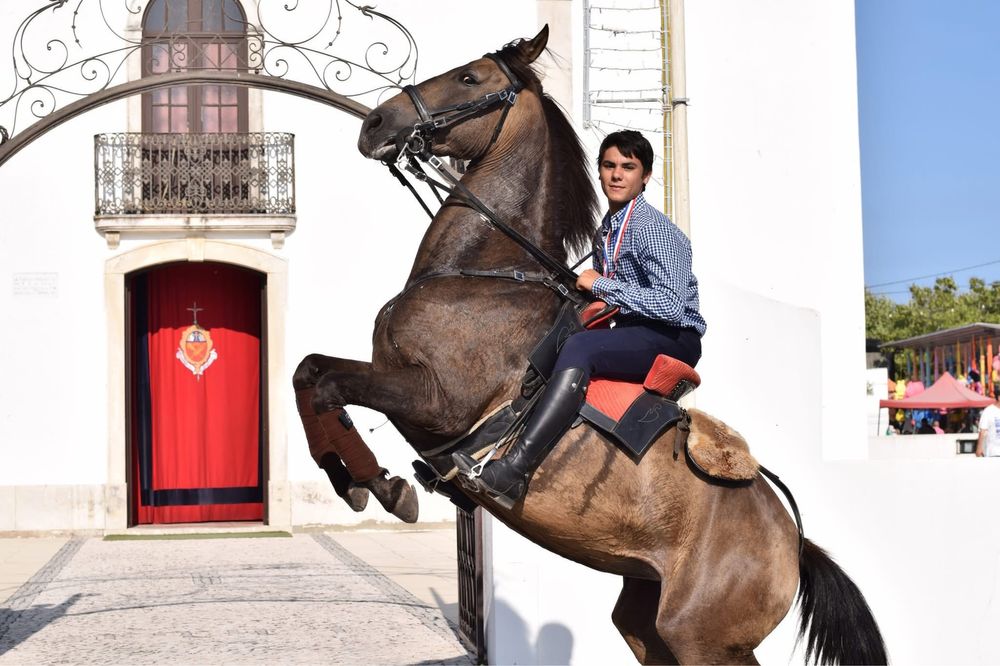 Egua Casa Gouveia