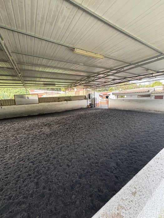 Aceitamos cavalos a penso