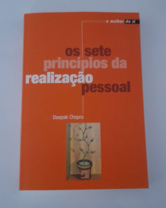 Livro os sete princípios da realização pessoal