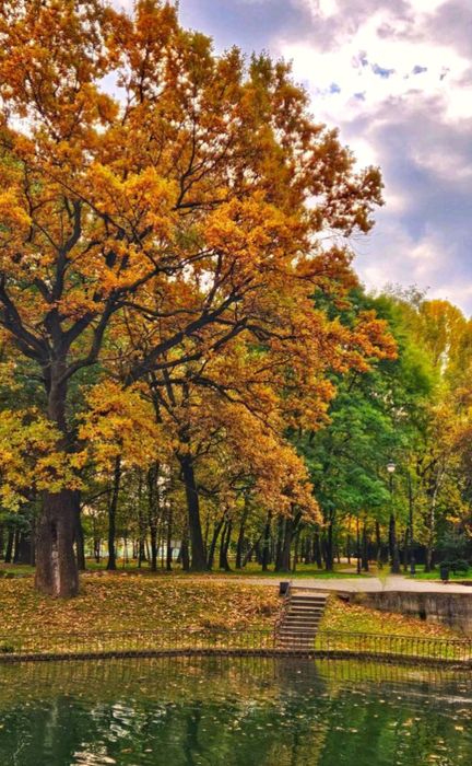 Продається земельна ділянка біля міського озера