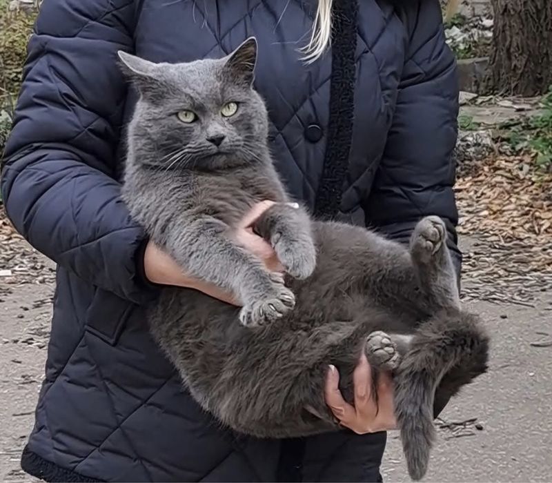 Шукаємо надійних господарів!