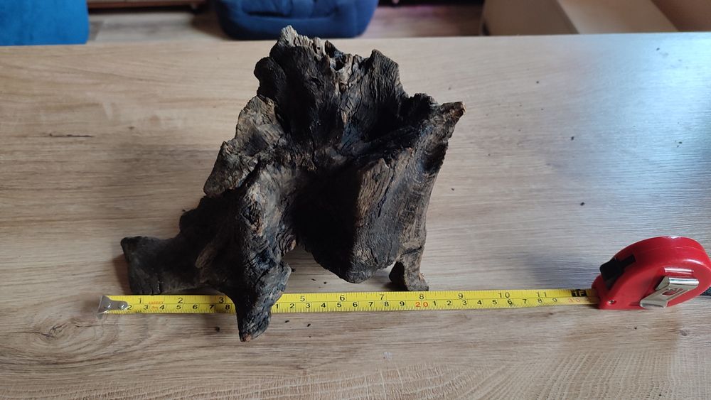 Korzenie do akwarium.