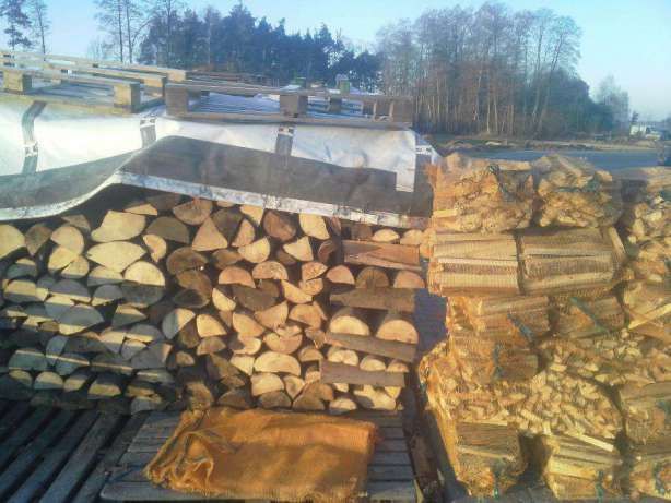 DREWNO ROZPAŁKOWE suche liściaste iglaste