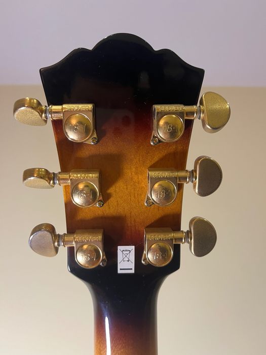 Guitarra Washburn J5