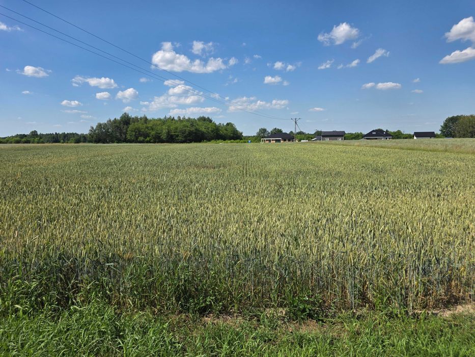 Budowlana płaska działka 25ar/prąd, woda/wydana WZ pod dom 165 m² - Widok 5