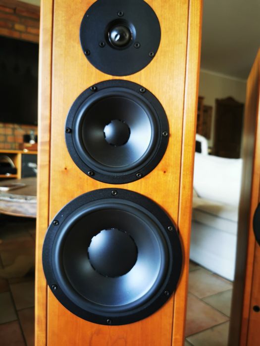 Kolumny Dynaudio contour 3.0