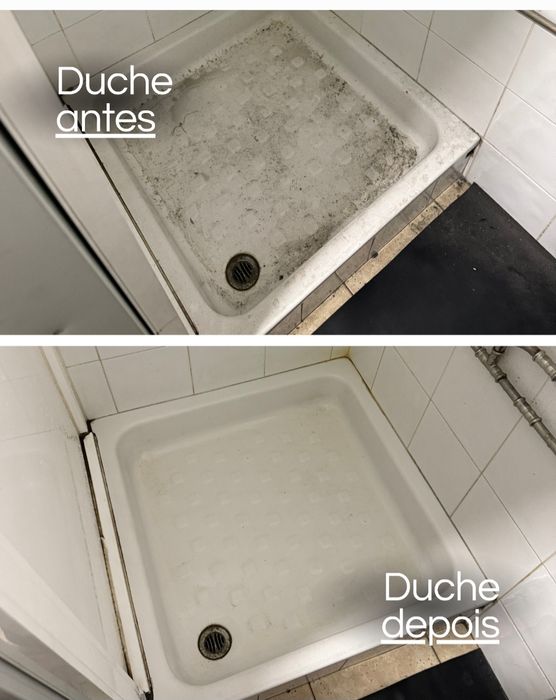 Limpeza doméstica e estofos