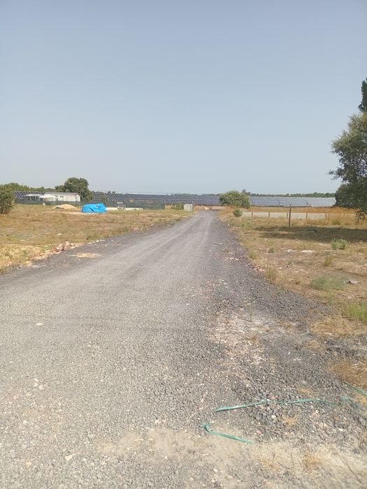 Lotes em augi, 7mil euros de entrada