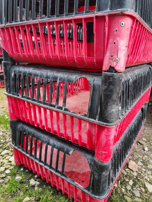 Klatki dla ptaków drobiu skrzynki pojemniki kury kaczki brojlery katex