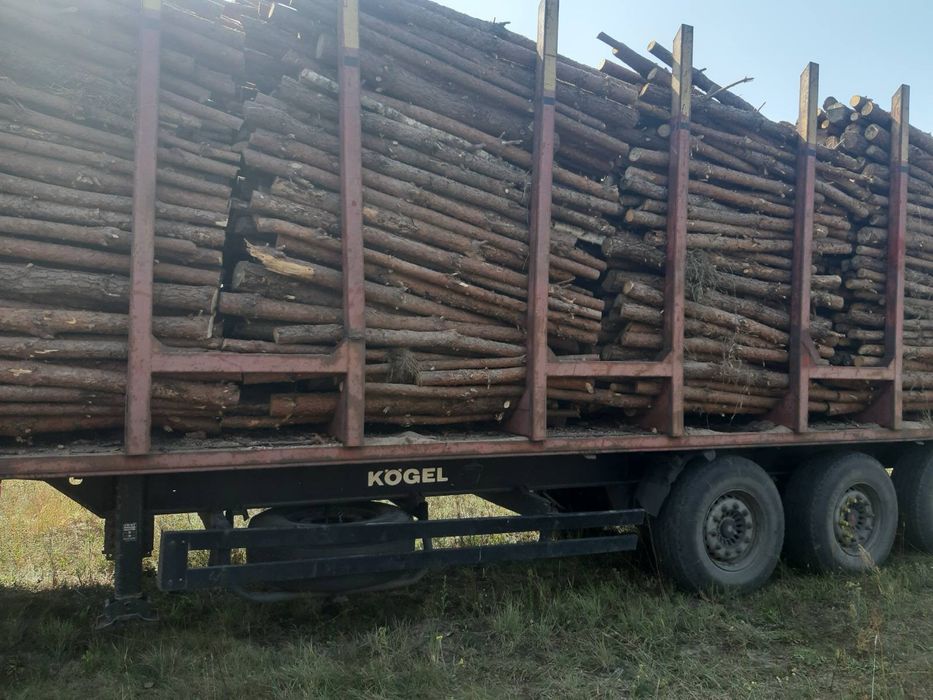 Продам дрова соснові