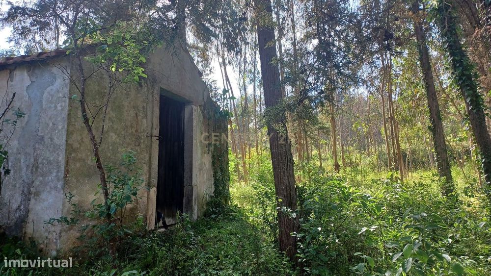 Terreno - Vila Nova da Barca - Venda