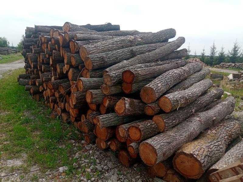 Drewno drzewo  DĄB metry z transportem