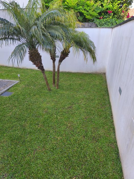 Serviços jardinagem