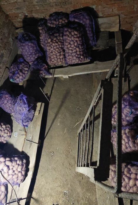 Продам дачу в селі Кіїнка
