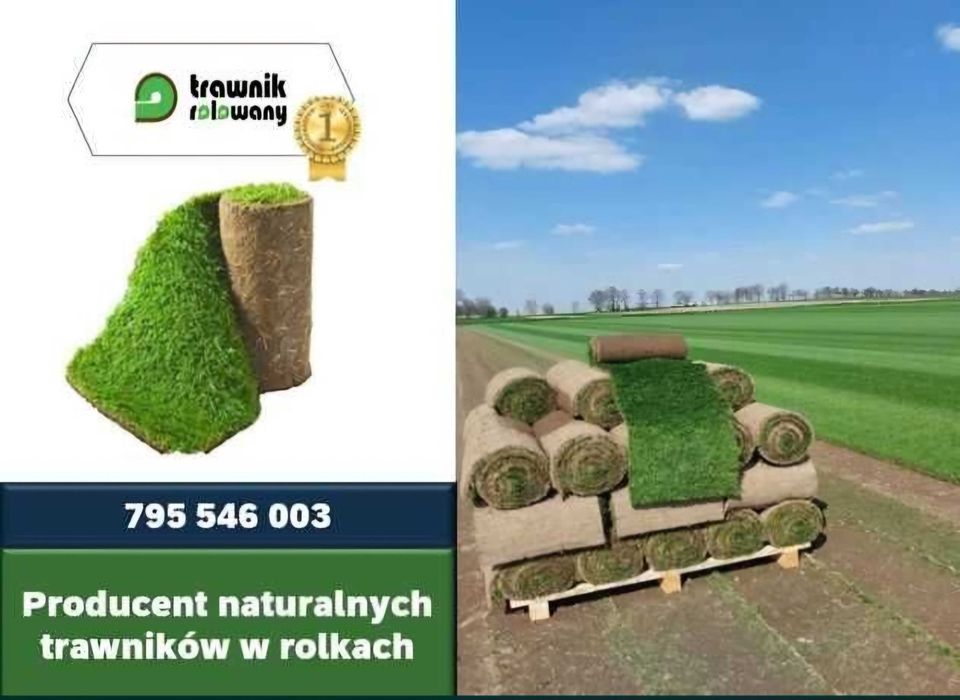 Trawa z rolki, trawnik w rolkach - Producent