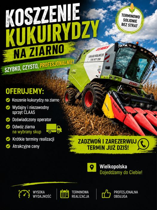 Zbiór kukurydzy na ziarno USŁUGI  ROLNICZE