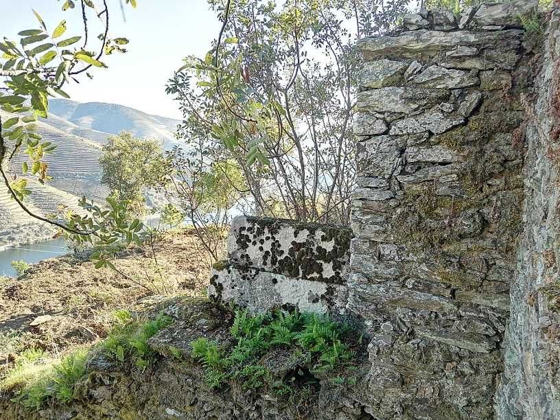 Quinta do Grilo - Alto Douro