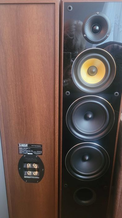 wieża pioneer, głośniki