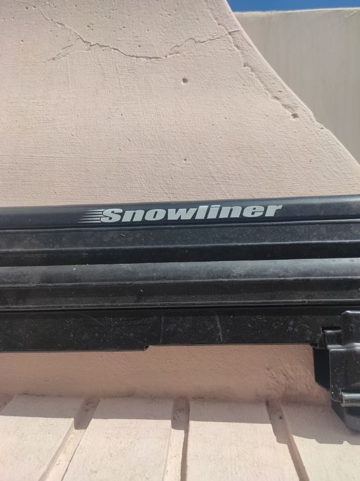 Suporte de skis para carro