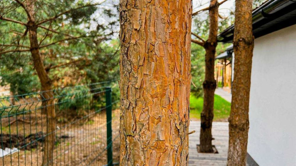 ТОП-продаж. КМ Сhaletvillе. Дім в оточені лісу. єОселя. Без%