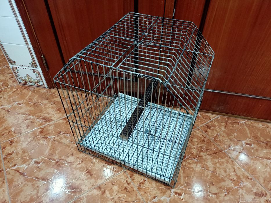 Gaiola galvanizada pássaros aves casa quarto apartamento vivenda