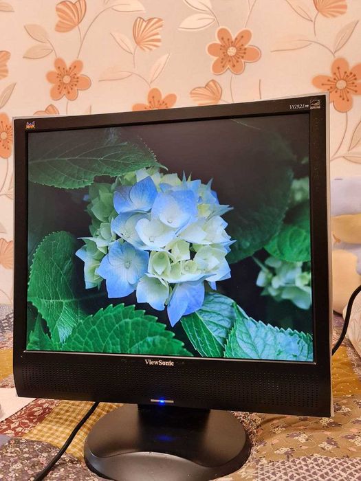 Монитор ViewSonic VG921m