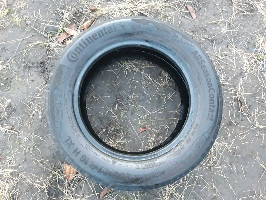 Opony całoroczne 205/60/16 96H Continental All Season Contact