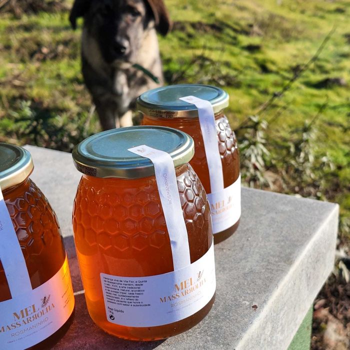 Mel de Rosmaninho 1Kg - Trás-os-Montes | Venda Só em Quantidade