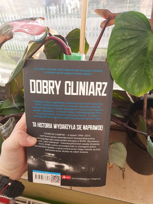 Książka Dobry Gliniarz