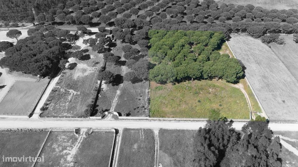 Terreno  para venda — Vendas Novas, Évora
