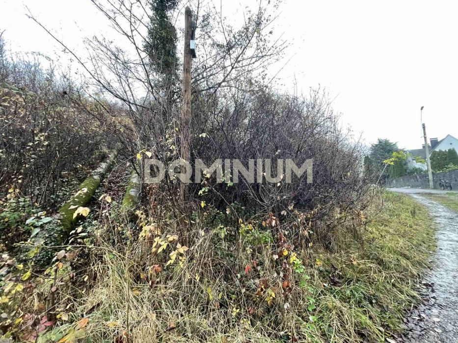 Продається земельна ділянка в м. Виноградів вул. Сечені