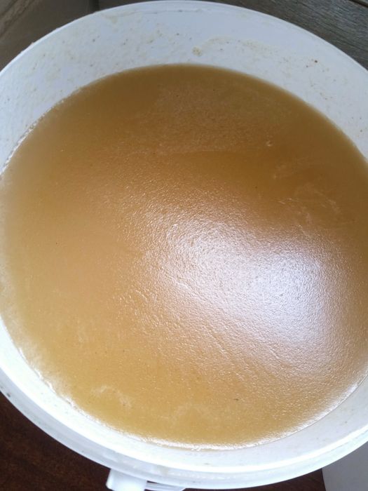 Продається мед майовий ціна 200 грн за 1 літр