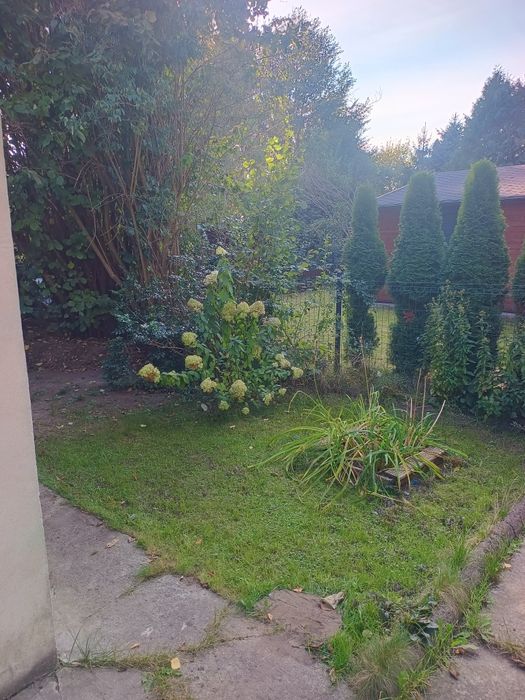 Działka ROD na Wilanowie