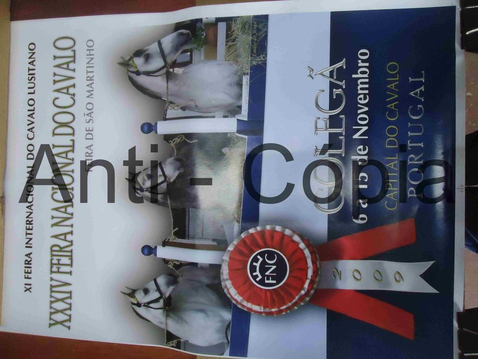 Cartazes de S. Martinho 30 x 45 aprox.