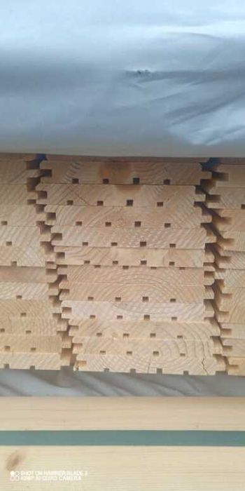 Świerk skandynawski