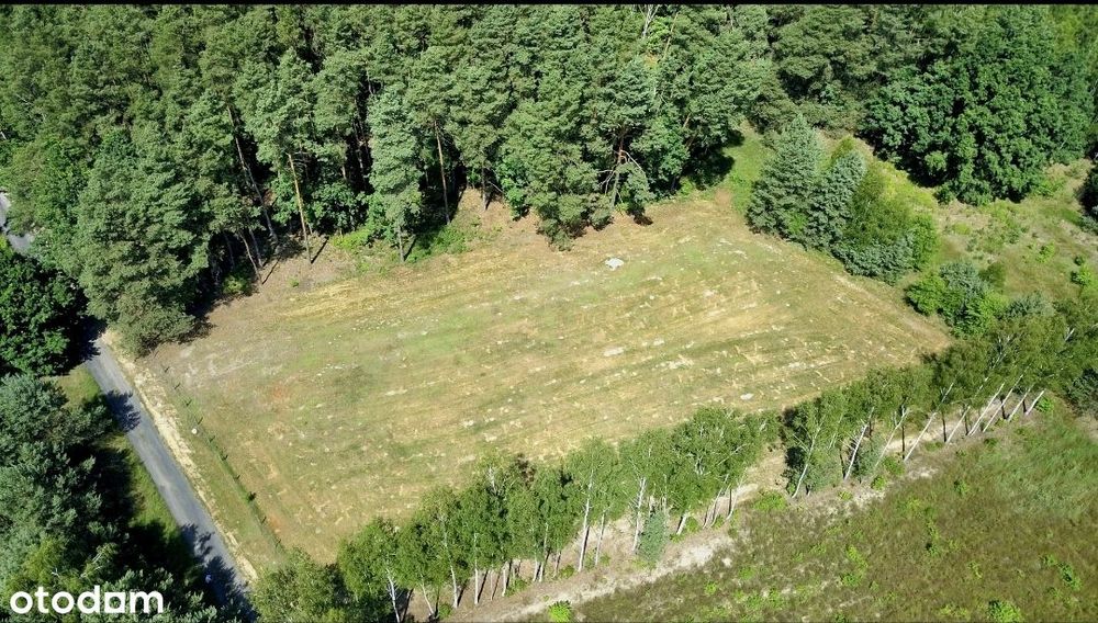 Działka z WZ 1250 m² | Woda | Prąd | Światłowód | Rakówiec