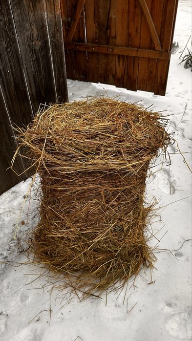 Сіно в тюках