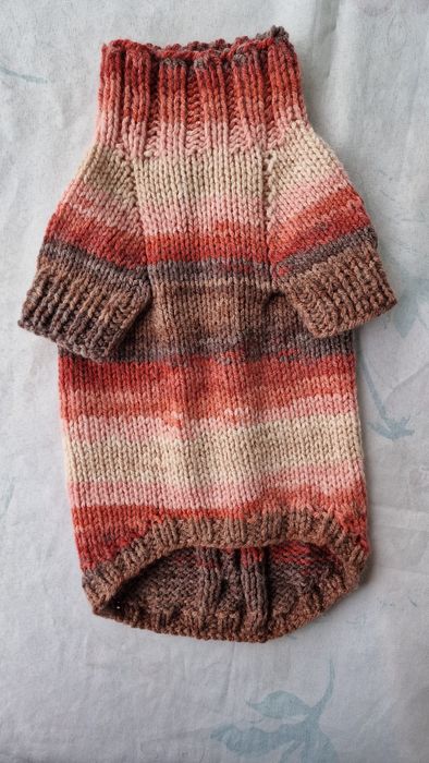 Одежда для собак.