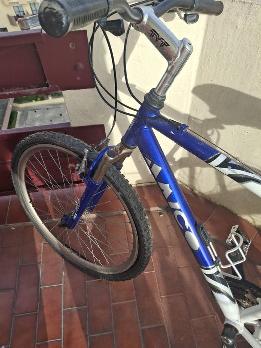 Bicicleta adulto