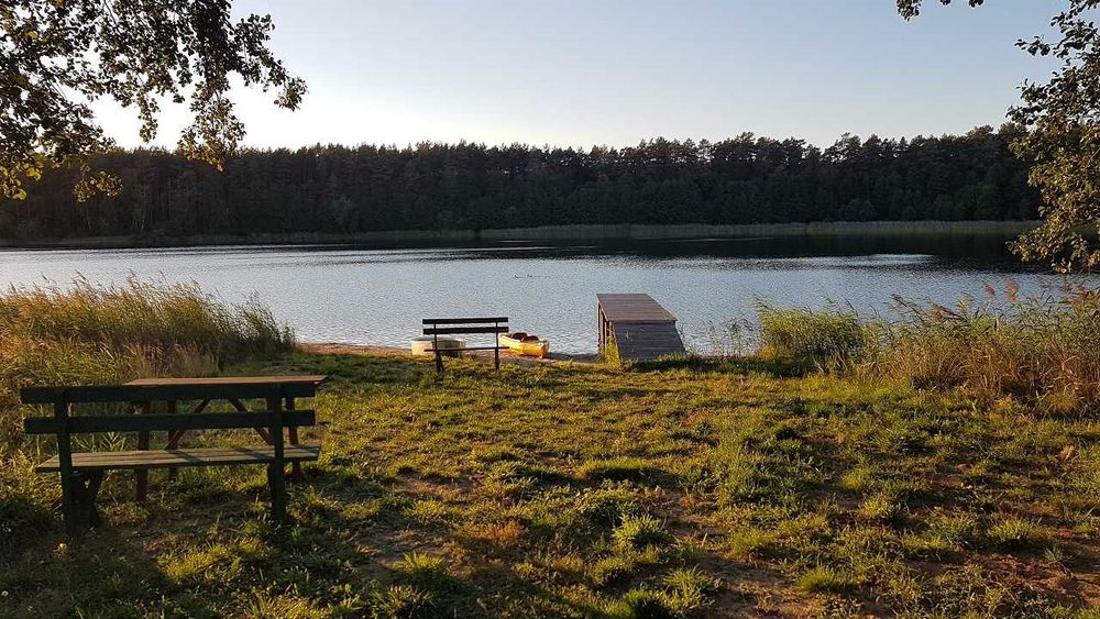 Domek nad jeziorem. Bory Tucholskie.  Las, ryby, grzyby.