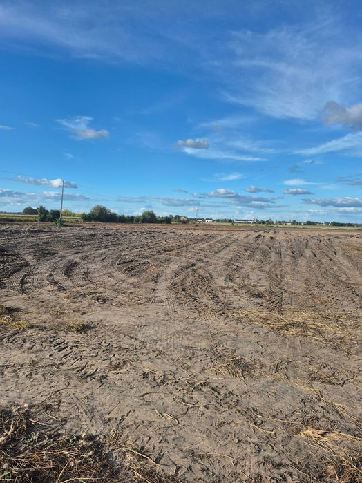 Działka rolna 4 ha – Milęcin – Inwestycja