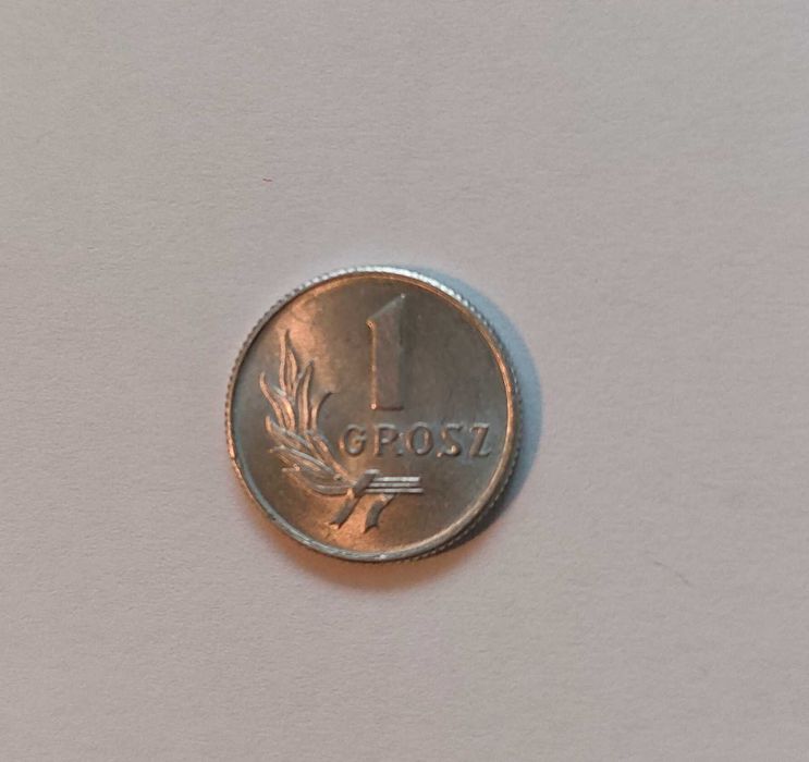 Zestaw monet PRL rok 1949: 1–50 gr, komplet, stany 2–3, kolekcja