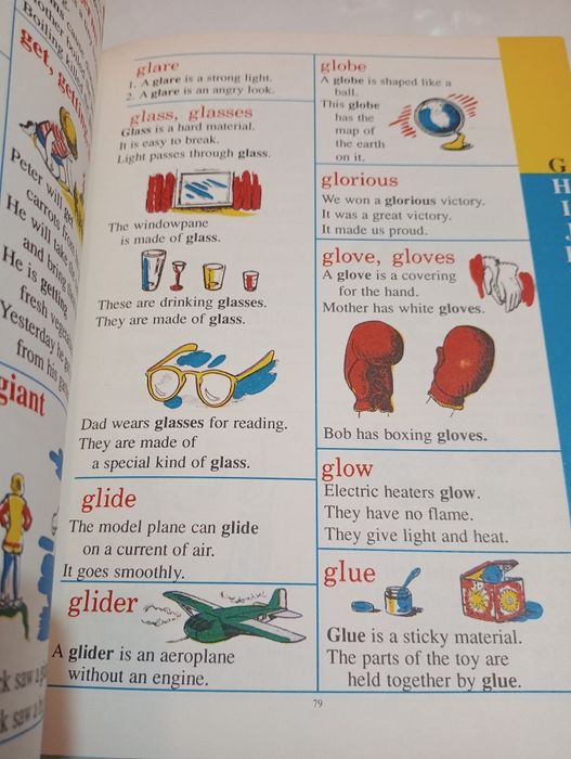 The Giant Picture Dictionary for Boys and Girl.