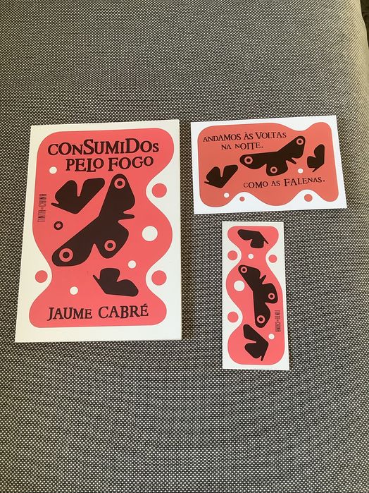 Consumidos pelo fogo de Jaume Cabré