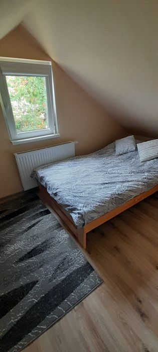 Pokój wolny od zaraz z miejscem parkingowym - Widok 3
