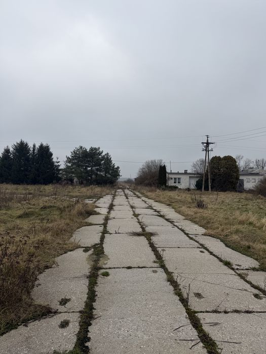 Dzierżawa obory/Budynków do hodowli zwierząt/magazyny