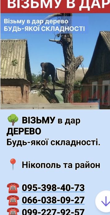 Возьму в Дар Дерево