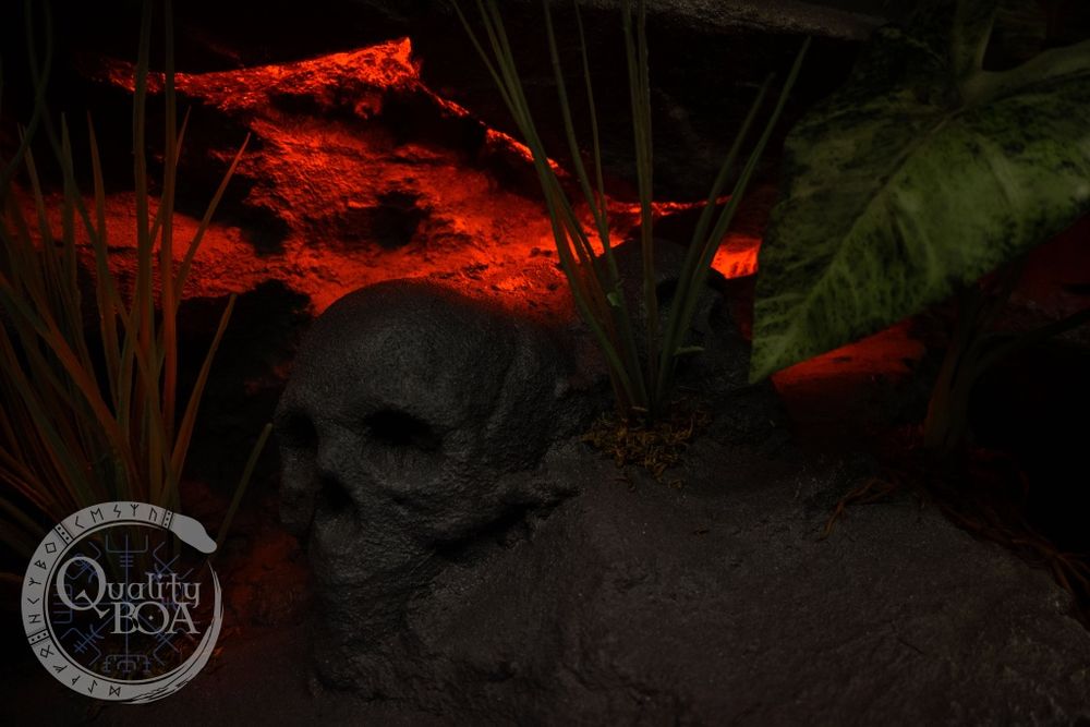 Ogromne terrarium 250×60×70. NOWE !