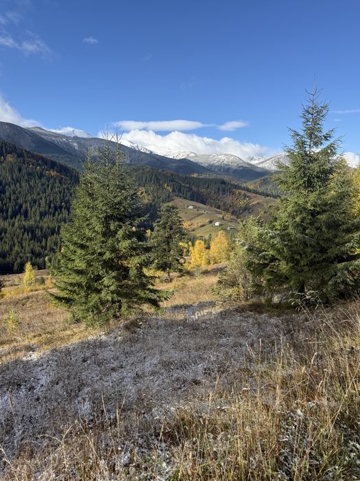 20 соток у Дземброні